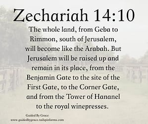 Zechariah 410 (2)