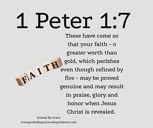 1 Peter 17