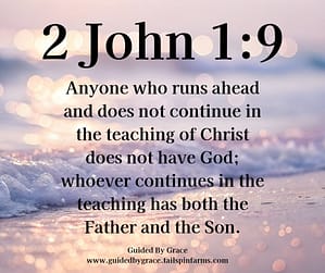 2 John 19