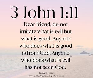 3 John 111