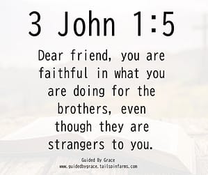 3 John 15