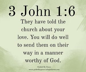 3 John 16