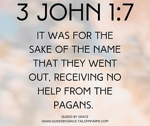 3 John 17