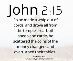 John 215