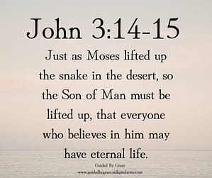 John 314