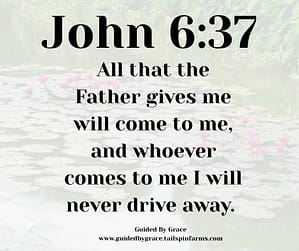 John 637
