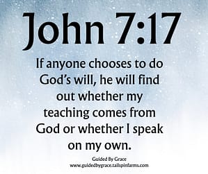 John 717