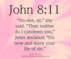 John 811