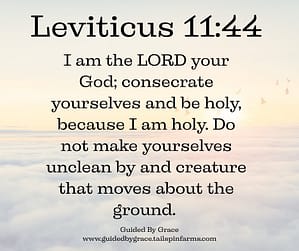 Leviticus 1144