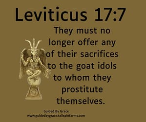 Leviticus 177