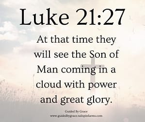 Luke 2127