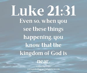 Luke 2131