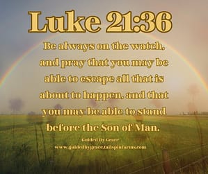 Luke 2136