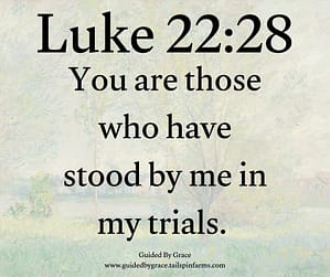 Luke 2228