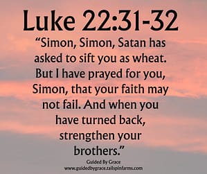 Luke 2231-32