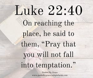 Luke 2240