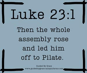 Luke 231