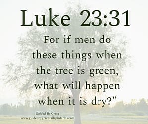 Luke 2331