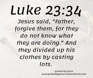 Luke 2334