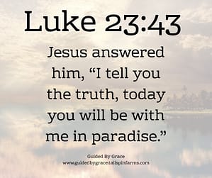 Luke 2343