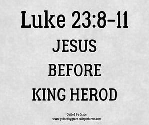 Luke 238-11