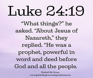 Luke 2419