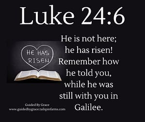 Luke 246