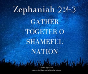 Zephaniah 21-3