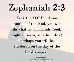 Zephaniah 23
