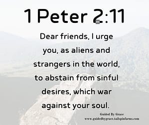 1 Peter 211