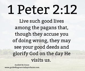1 Peter 212