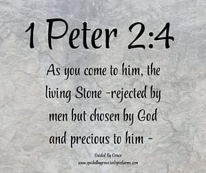 1 Peter 24