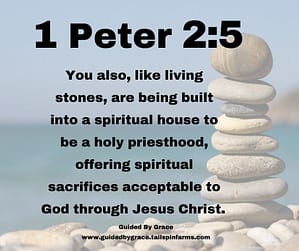 1 Peter 25