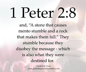 1 Peter 28