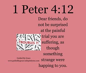 1 Peter 412