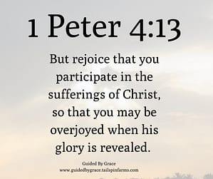 1 Peter 413