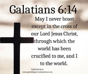 Galatians 614