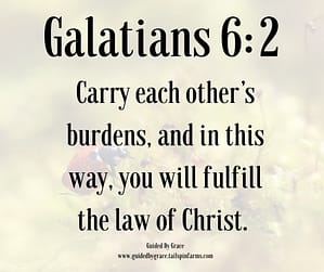 Galatians 62