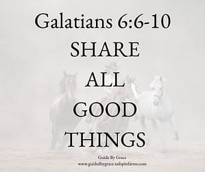 Galatians 66-10