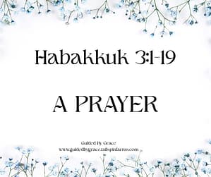 Habakkuk 31-19