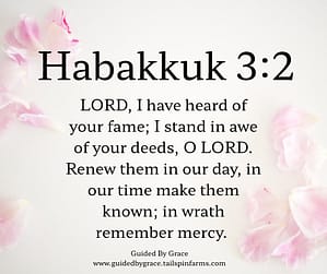 Habakkuk 32