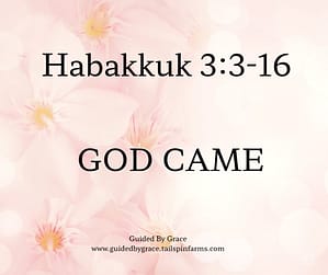 Habakkuk 33-16
