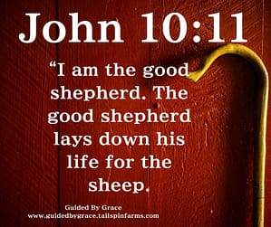 John 1011