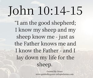 John 1014