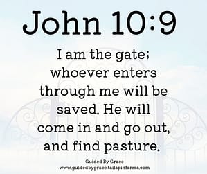 John 109