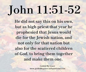 John 1152