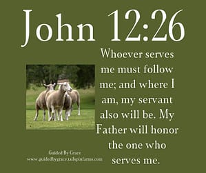 John 1226