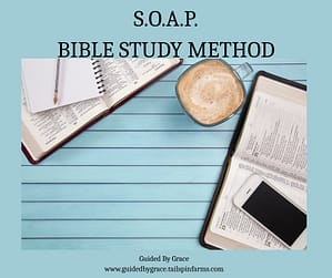 S.O.A.P. BIBLE STUDY