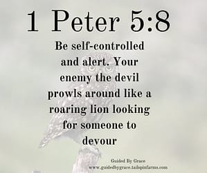 1 Peter 58