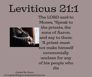 Leviticus 211